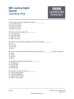 BBC vocabulary 76 quizzes 2005 2009 (76) 