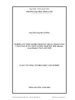 Nghiên cứu một số biện pháp kỹ thuật nhằm nâng cao năng suất, chất lượng tinh dầu hồi (Illicium verum Hook.f.) tại Lạng Sơn
