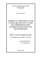 Nghiên cứu ảnh hưởng của pH và nồng độ chất xúc tác đến quá trình khoáng hoá Glyphosate bằng phản ứng Fenton điện hoá (LV tốt nghiệp)