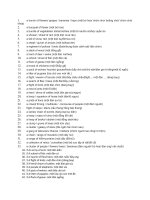 danh từ tập hợp 