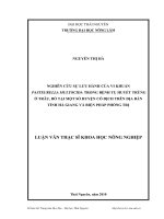 Nghiên cứu sự lưu hành của vi khuẩn Pasteurella multocida trong bệnh tụ huyết trùng ở trâu, bò tại một số huyện có dịch trên địa bàn tỉnh Hà Giang và biện