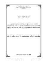 Xác định một số yếu tố gây bệnh của vi khuẩn Escherichia coli và Clostridium perfringens gây tiêu chảy ở dê nuôi tại Thái Nguyên và biện pháp phòng trị