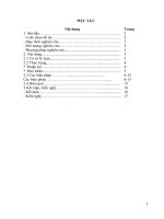 SKKN Một số biện pháp giáo dục bảo vệ môi trường cho trẻ Mẫu giáo 45 tuổi thông qua hoạt động Khám phá khoa học