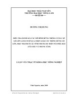 Điều tra, đánh giá các mô hình rừng trồng cung cấp gỗ lớn làm cơ sở lựa chọn loài cây trồng rừng gỗ lớn, mọc nhanh ở các tỉnh trung du miền núi phía