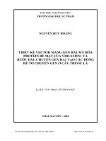 Thiết kế vector mang gen HA1 mã hóa protein bề mặt của virus H5N1 và bước đầu chuyển gen HA1 tạo các dòng rễ tơ chuyển gen ở cây thuốc lá