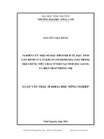 Nghiên cứu một số đặc điểm dịch tễ, đặc tính gây bệnh của vi khuẩn Escherichia Coli trong hội chứng tiêu chảy ở thỏ tại tỉnh Bắc Giang và biện pháp phòng trị