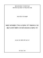 Một số hiệu ứng lượng tử trong các hệ nanô trên cơ sở chấm lượng tử