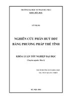 Nghiên cứu phân huỷ DDT bằng phương pháp thế tĩnh (LV tốt nghiệp)