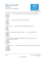 BBC topic based 125 quizzes 2005 2009 (82) 