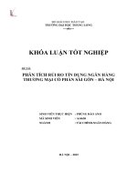 Phân tích Rủi ro tín dụng Ngân hàng thương mại cổ phần Sài Gòn Hà Nội (LV tốt nghiệp)