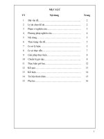 SKKN Một số biện pháp nâng cao chất lượng dạy học phần di truyền phân tử Sinh học lớp 9