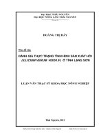 Đánh giá thực trạng tình hình sản xuất hồi (Ilicium Verum Hook.F) ở tỉnh Lạng Sơn