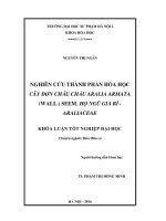 Nghiên cứu thành phần hóa học cây Đơn châu chấu Aralia armata (Wall.) Seem. họ Ngũ gia bì  Araliaceae (LV tốt nghiệp)