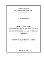 Đánh giá thực trạng và nghiên cứu một số biện pháp kỹ thuật nâng cao năng suất lúa đặc sản Séng Cù tại Lào Cai