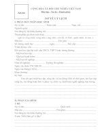 Mẫu sơ yếu lý lịch đúng nhất hiện nay