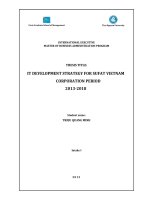 IT DEVELOPMENT STRATEGY FOR SUFAT VIETNAM CORPORATION PERIOD 2013 2018 