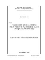 Nghiên cứu bệnh cầu trùng ở đàn thỏ nuôi tại tỉnh Bắc Giang và biện pháp phòng trị