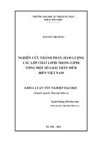 Nghiên cứu thành phần, hàm lượng các lớp chất lipid trong lipid tổng một số loài thân mềm biển Việt Nam (LV tốt nghiệp)