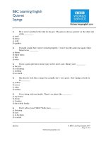 BBC other 17 quizzes 2005 2008 (16) 