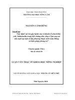 Xác định vai trò gây bệnh của vi khuẩn Escherichia coli, Salmonella trong hội chứng tiêu chảy ở lợn sau cai sữa nuôi tại một số địa phương thuộc tỉnh Lâm Đ