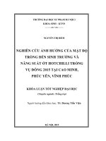 Nghiên cứu ảnh hưởng của mật độ trồng đến sinh trưởng và năng suất ớt Hotchilli trồng vụ đông 2015 tại Cao Minh, Phúc Yên, Vĩnh Phúc (LV tốt nghiệp)