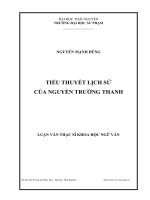 Tiểu thuyết Lịch sử của Nguyễn Trường Thanh