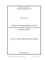 Nghiên cứu tình hình nhiễm ấu trùng sán lá song chủ trên cá chép và cá trắm cỏ tại Thái Nguyên