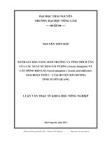 Đánh giá khả năng sinh trưởng và tính thích ứng của các xuất xứ keo tai tượng (Acacia mangium) và các dòng keo lai (Acacia mangium x Acacia auriculiformis) giai đoạn tuổi 1-2