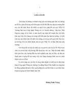 Khôi phục ảnh bằng tối ưu độ tương tự cục bộ 