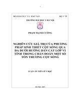 Nghiên cứu giá trị của phương pháp sinh thiết cột sống qua da dưới hướng dẫn cắt lớp vi tính trong chẩn đoán một số tổn thương cột sống 