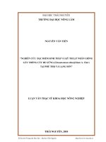 Nghiên cứu đặc điểm sinh thái và kỹ thuật nhân giống gây trồng cây Re gừng (Cinnamomum obtusifolium A.Chev) tại Phú Thọ và Lạng Sơn