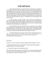 phân tích báo cáo tái chính của công ty cổ phần sữa vinamilk