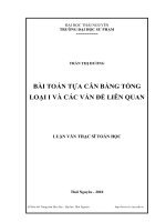 Bài toán tựa cân bằng tổng loại I và các vấn đề liên quan