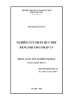 Nghiên cứu phân hủy DDT bằng phương pháp CV (LV tốt nghiệp)