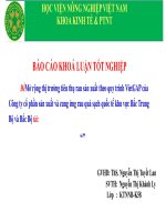 Mở rộng thị trường tiêu thụ rau sản xuất theo quy trình VietGAP của công ty cổ phần sản xuất và cung ứng rau quả sạch quốc tế khu vực bắc trung bộ và bắc bộ 