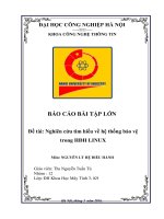 Nghiên cứu tìm hiểu về hệ thống bảo vệ trong HĐH LINUX