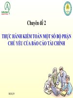 Chuyên đề 3 thuc hành Kiểm Toán BCTC