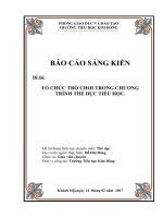 BÁO CÁO SÁNG KIẾN  Đề tài:  TỔ CHỨC TRÒ CHƠI TRONG CHƯƠNG TRÌNH THỂ DỤC TIỂU HỌC.