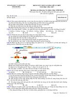 De thi thu so GD DT thanh hoa ma 132 