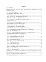 Báo cáo thực tập Tài chính: Phân tích hiệu quả sử dụng vốn tại công ty bóng đèn Điện Quang Đà Nẵng
