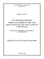 Các tội phạm tình dục trong luật Hình sự Việt Nam (Trên cơ sở số liệu của Tòa án nhân dân tỉnh Đắk Lăk)