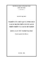 Nghiên cứu chế tạo và tính chất cao su blend trên cơ sở cao su thiên nhiên và cao su butadien (LV tốt nghiệp)