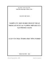 Nghiên cứu một số biện pháp kỹ thuật trong sản xuất lạc vụ đông trên đất lúa ở tỉnh Bắc Giang