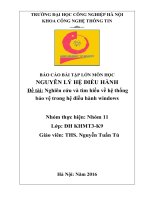 Nghiên cứu và tìm hiểu về hệ thống bảo vệ trong hệ điều hành windows