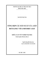 Tổng hợp một số dẫn xuất của axit betulinic với anhydrit axit (LV tốt nghiệp)