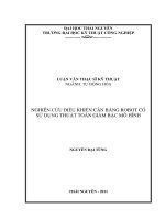 Nghiên cứu điều khiển cân bằng Robot có sử dụng thuật toán giảm bậc mô hình.