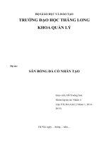SÂN BÓNG đá cỏ NHÂN tạo 