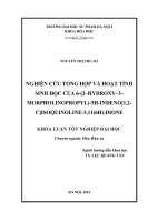 Nghiên cứu tổng hợp và hoạt tính sinh học của 6(2–hydroxy–3– morpholinopropyl)5Hindeno1,2cisoquinoline5,11(6H)dione (LV tốt nghiệp)