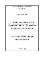 Khảo sát thành phần flavonoid từ lá cây Mỏ quạ Cudrania tricuspidata (LV tốt nghiệp)