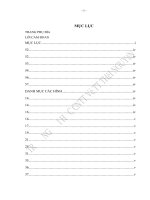 Phương pháp lai mạng nơ ron giải thuật di truyền giải bài toán NP c và ứng dụng 